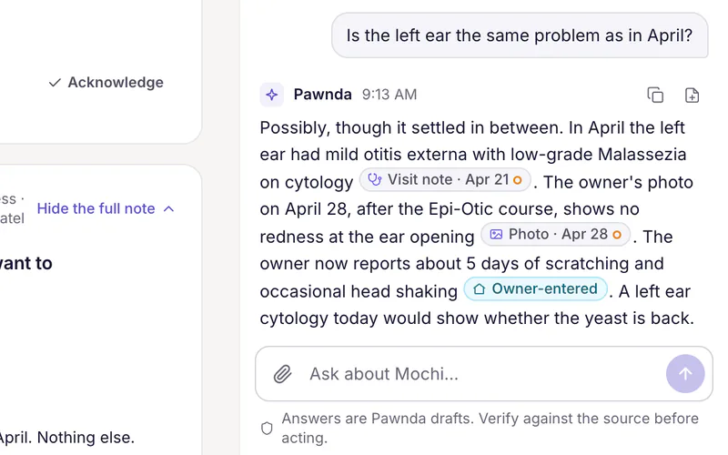 The Ask Pawnda pane answering whether Mochi’s left ear is the same problem as in April, citing the April 21 visit note, the owner’s April 28 photo and the owner’s note, above the reminder that answers are Pawnda drafts to verify against the source.