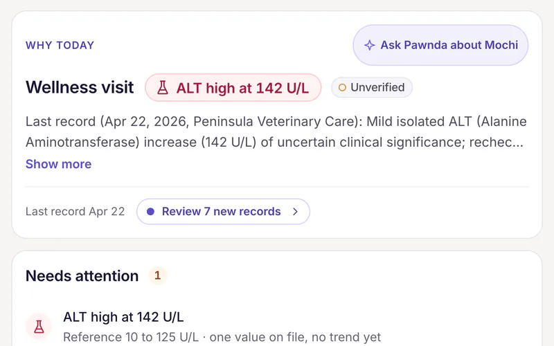 Mochi Rivera’s chart in Pawnda: the Why today card for a wellness visit, with ALT high at 142 U/L labeled Unverified, a summary of the last record and a button to review 7 new records, above the Needs attention list.
